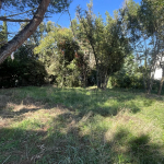 PLAISANCE DU TOUCH - LOTISSEMENT 6 LOTS