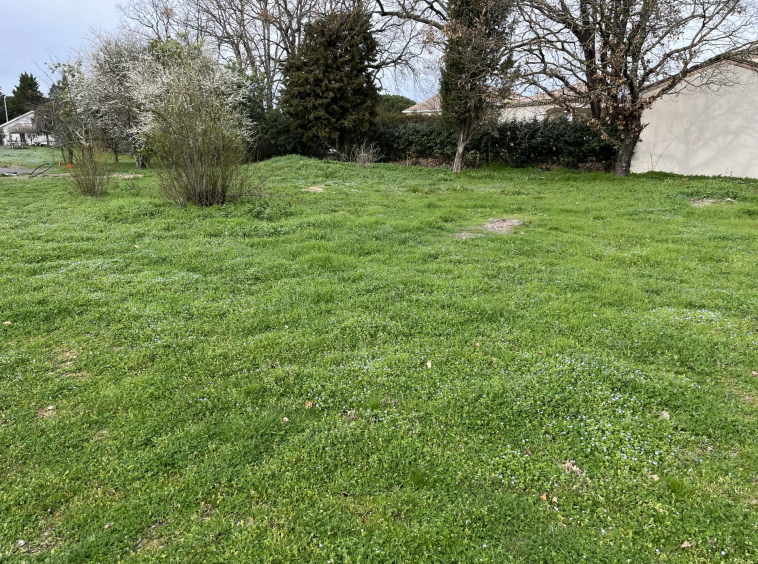 PLAISANCE DU TOUCH - TERRAIN 750 m2