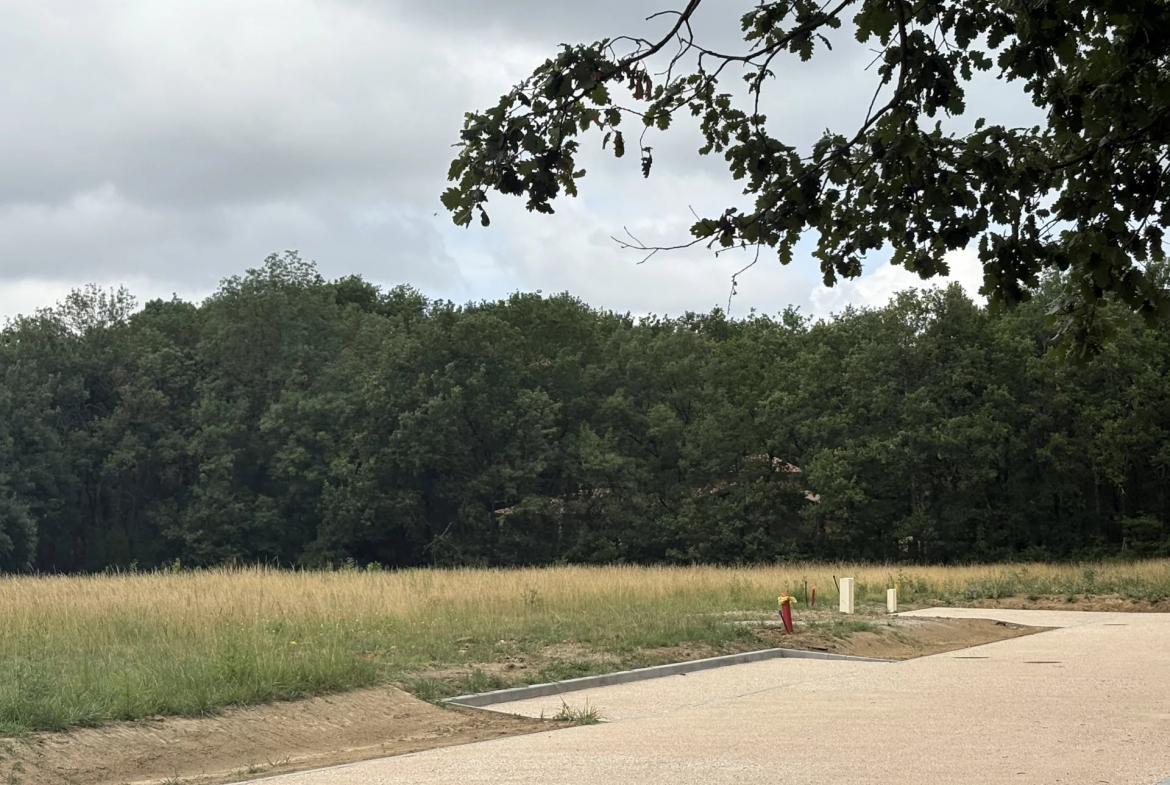 LA SALVETAT ST GILLES - TERRAIN