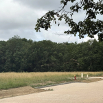 LA SALVETAT ST GILLES - TERRAIN 1 108 m2