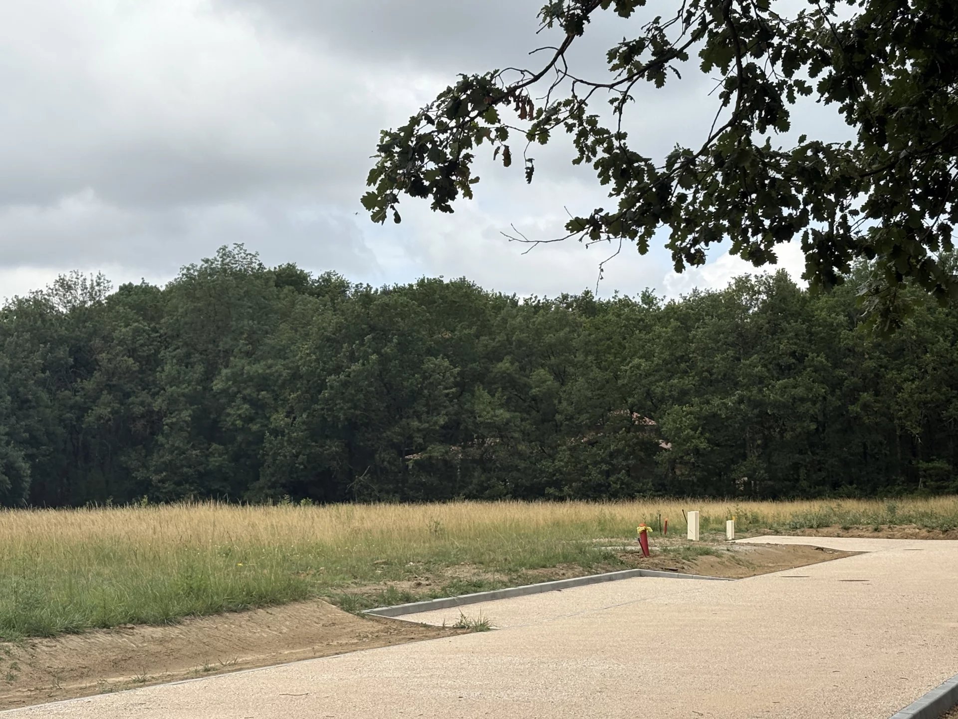 LA SALVETAT ST GILLES - TERRAIN