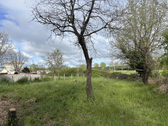 PLAISANCE DU TOUCH - TERRAIN