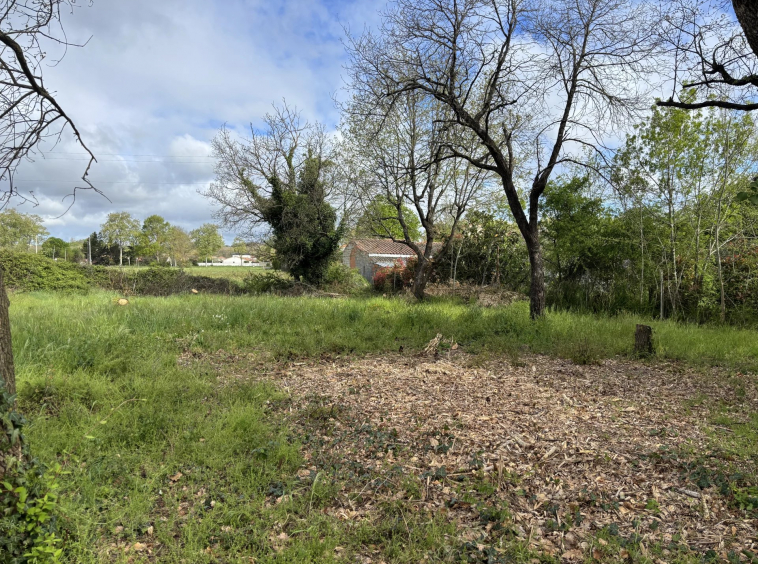 PLAISANCE DU TOUCH - TERRAIN