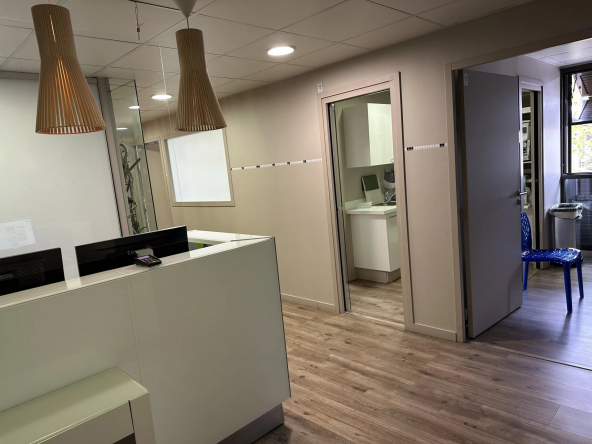 PLAISANCE DU TOUCH - LOCAL PRO