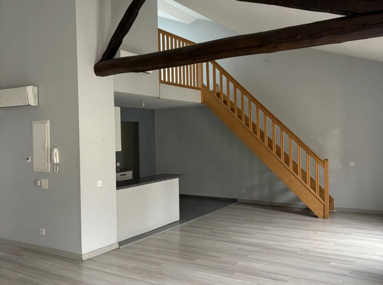 PLAISANCE DU TOUCH - APPARTEMENT T4