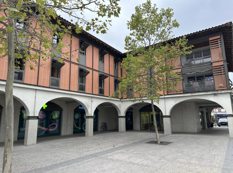 PLAISANCE DU TOUCH - LOCAL PRO