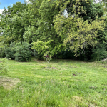 PLAISANCE DU TOUCH - TERRAIN 577 M2