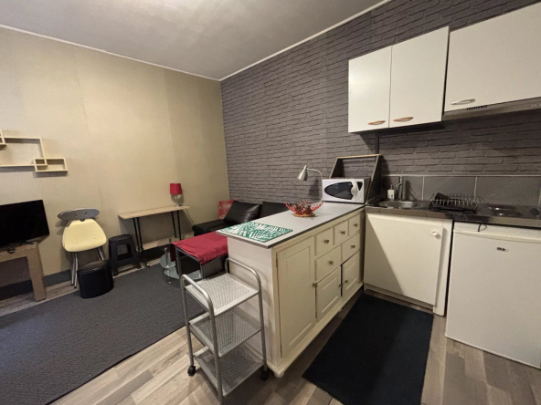 PLAISANCE DU TOUCH - LOCAL + APPARTEMENT T1 BIS