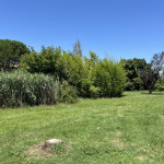 PLAISANCE DU TOUCH - TERRAIN 497 m2