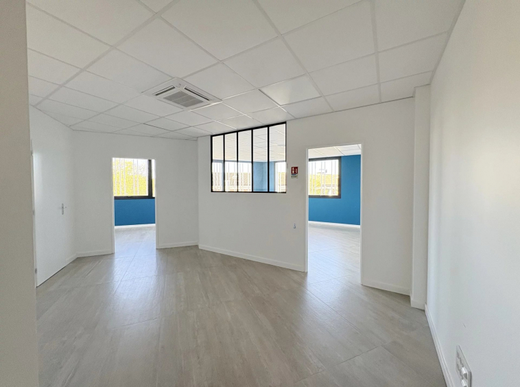 Location Bureau 68m2 - La Salvetat - St - Gilles
