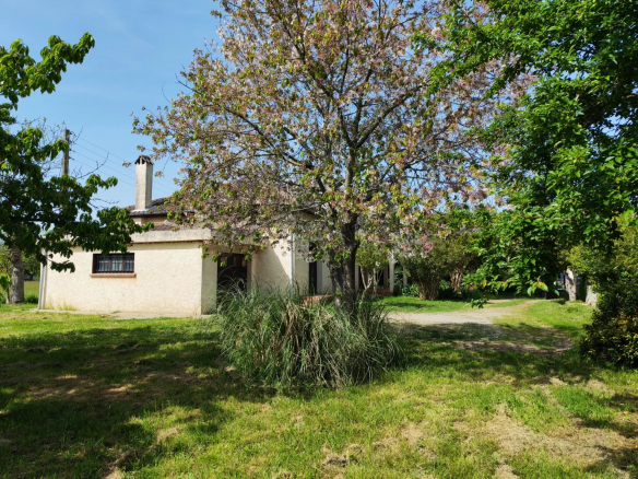 SAINT-LYS - MAISON T6