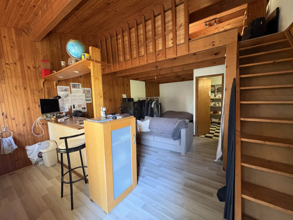 PLAISANCE DU TOUCH - MAISON T4/5 + STUDIO