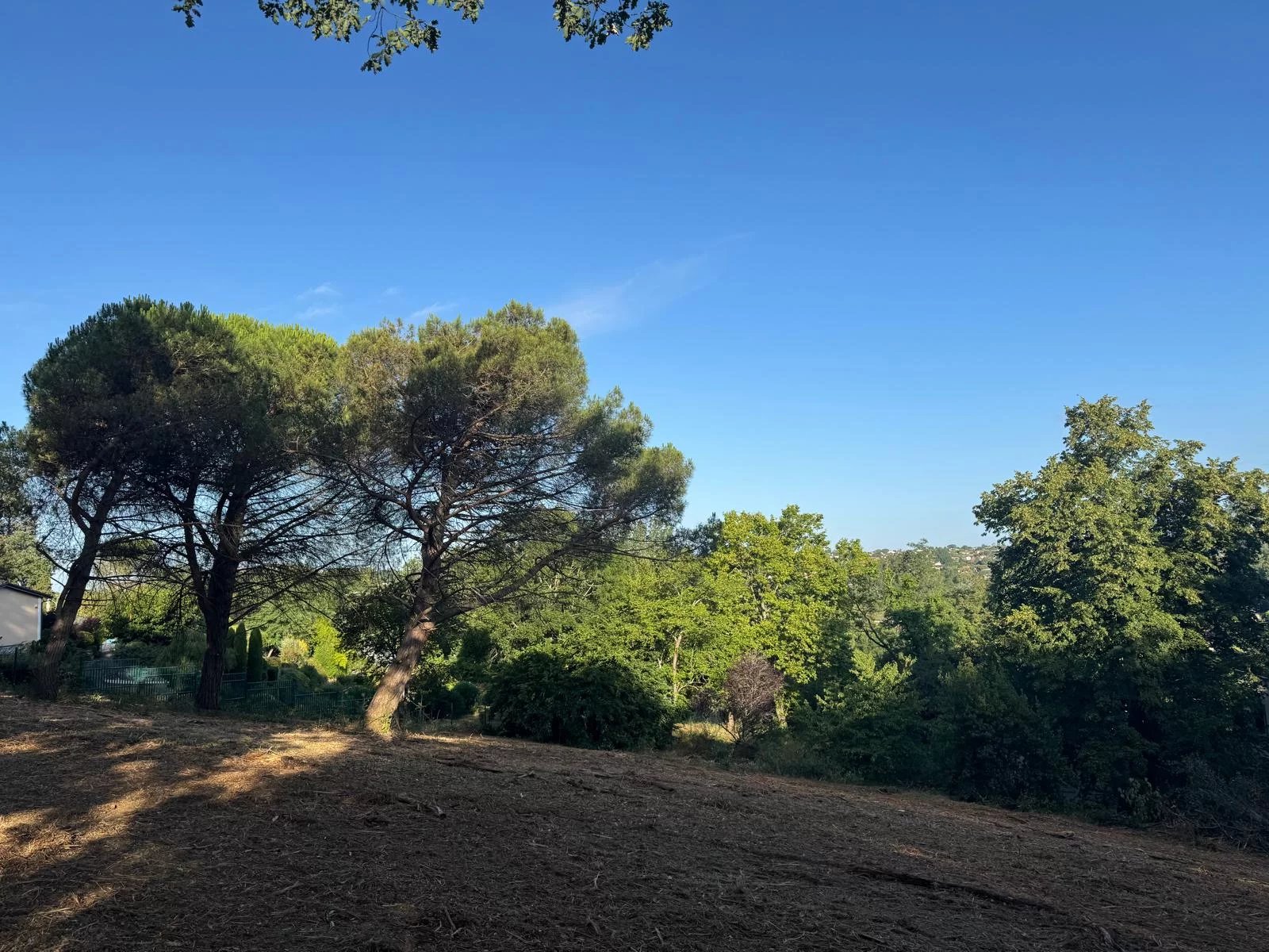 CORNEBARRIEU - TERRAIN 3645 m2