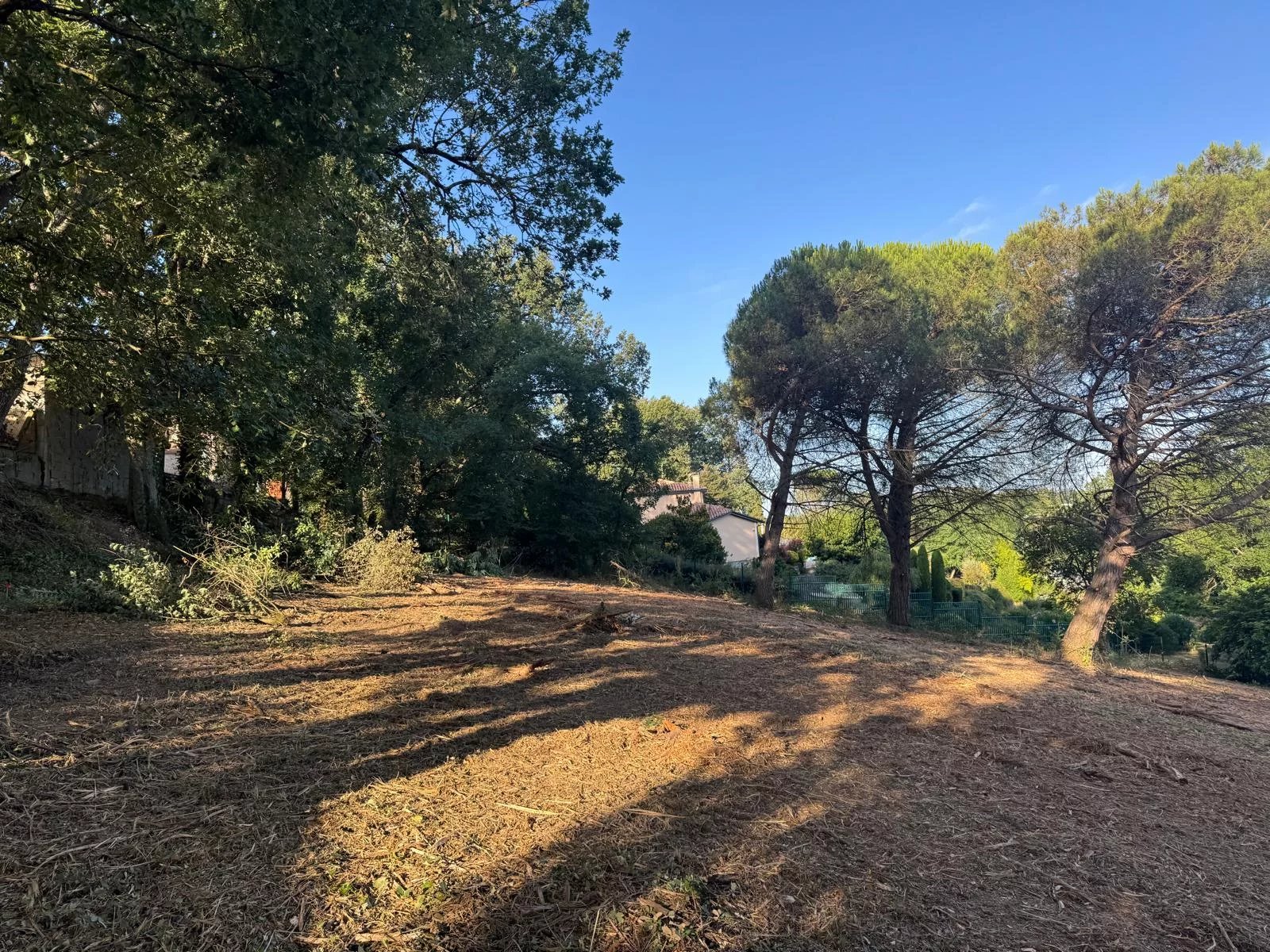 CORNEBARRIEU - TERRAIN 3645 m2