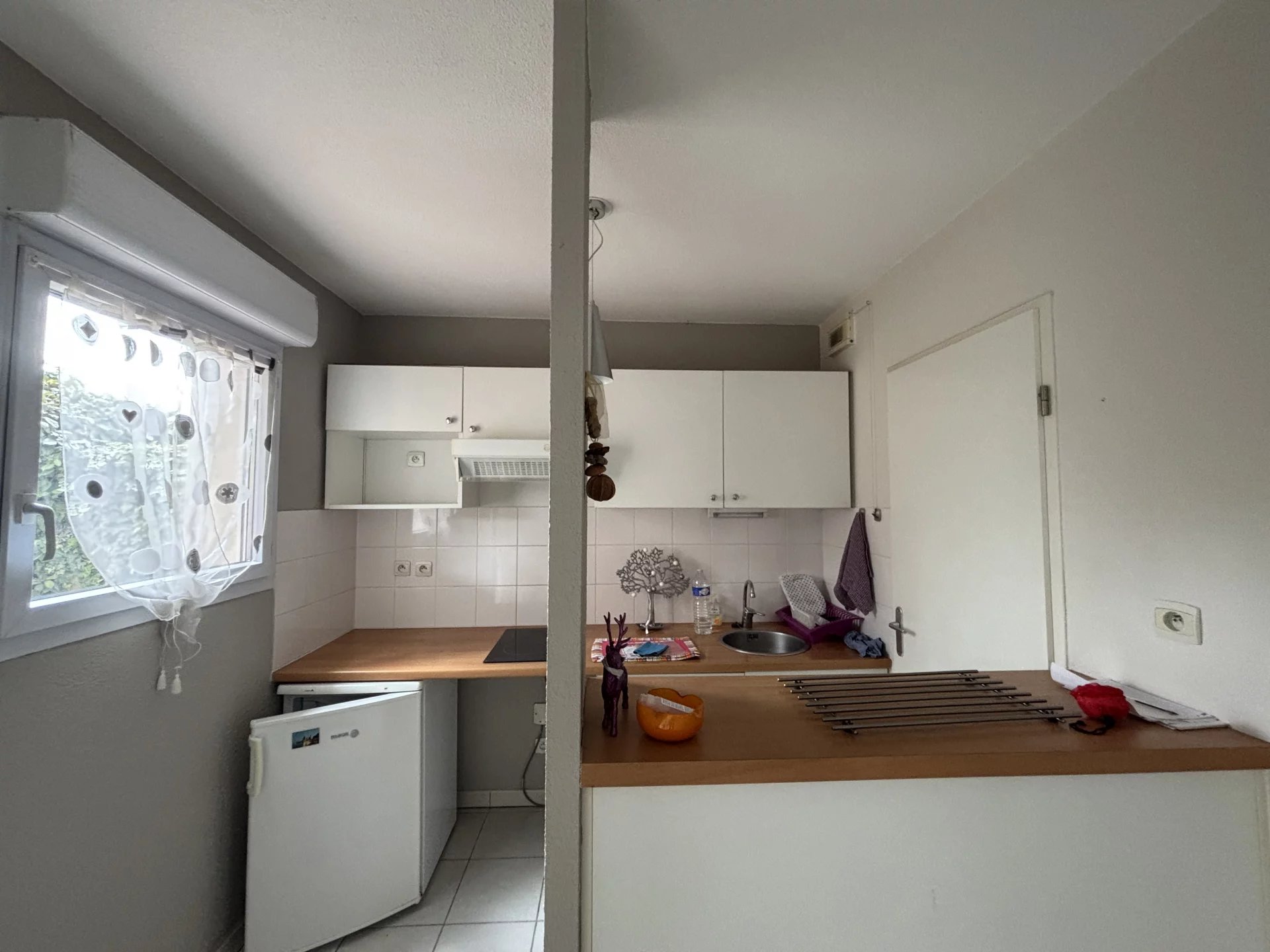 LA SALVETAT-SAINT-GILLES - APPARTEMENT T2