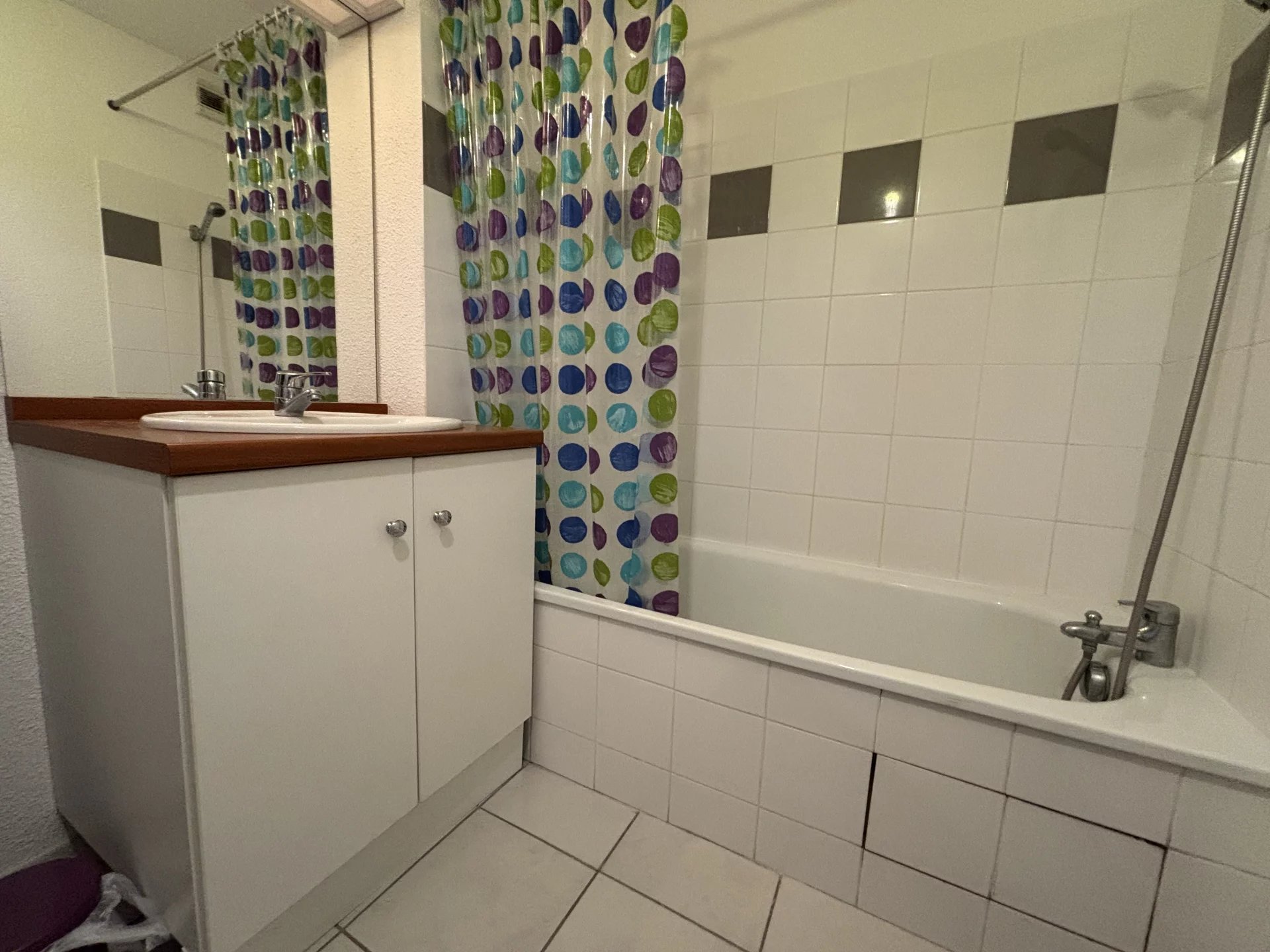 LA SALVETAT-SAINT-GILLES - APPARTEMENT T2